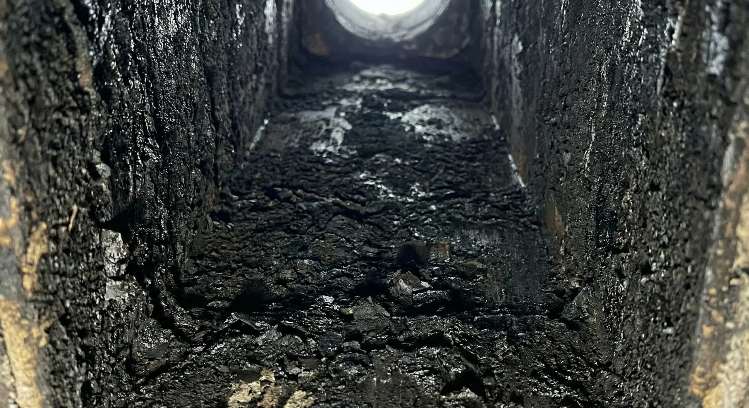 Chimney before professional creosote removal